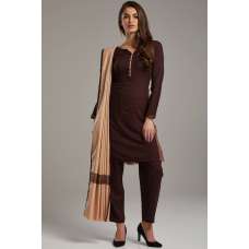 Masterpiece Choco Brown Winter Pakistani Style Salwar Suit Large Size